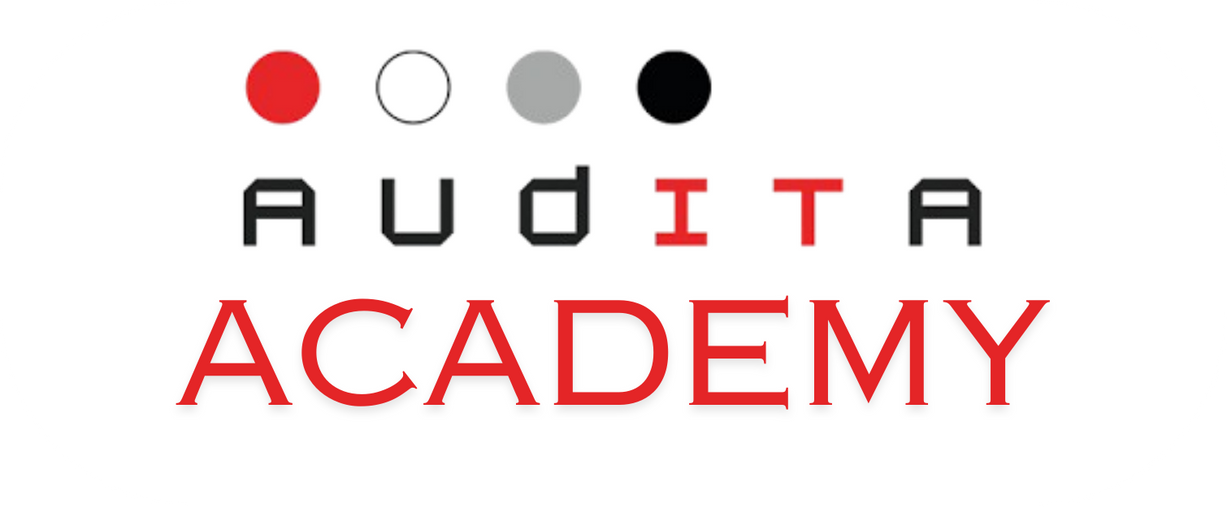 logo_academy_audita